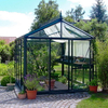 Casa verde de vidro de horticultura