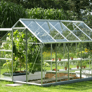 Casa verde de vidro de horticultura